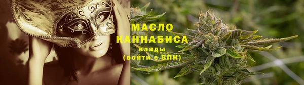 ешки Новодвинск