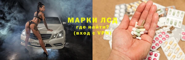 эйфоретик Алзамай