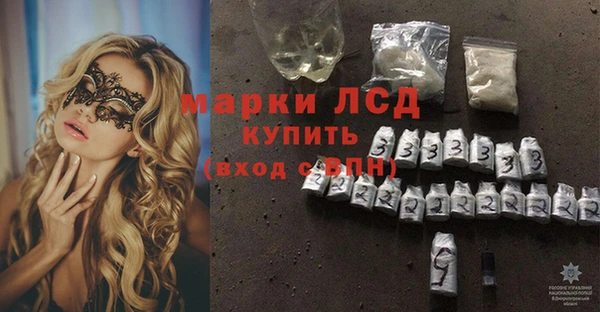 эйфоретик Алзамай