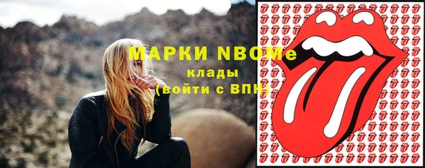 ешки Новодвинск
