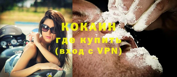 дживик Кострома
