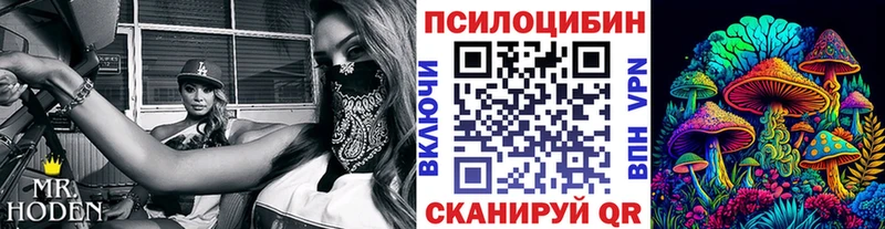 Галлюциногенные грибы Psilocybe  мориарти формула  Грязовец 